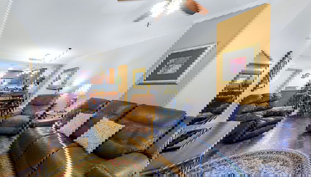 Imagem principal