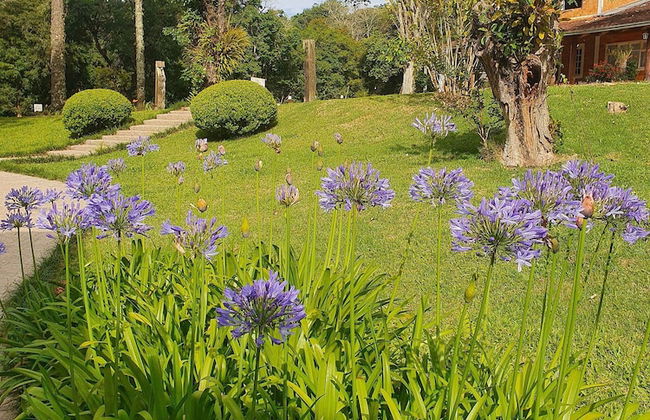 Villagio Matera - São Luiz do Purunã - Foto 58