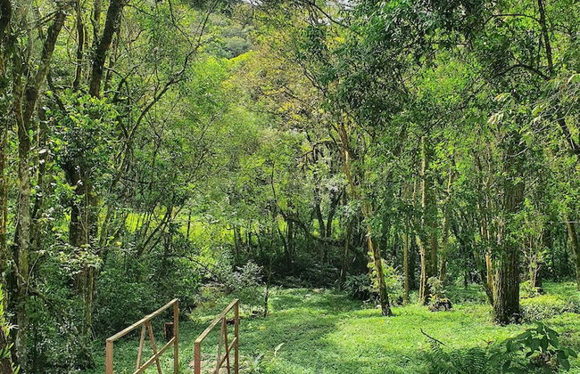 Villagio Matera - São Luiz do Purunã - Foto 59