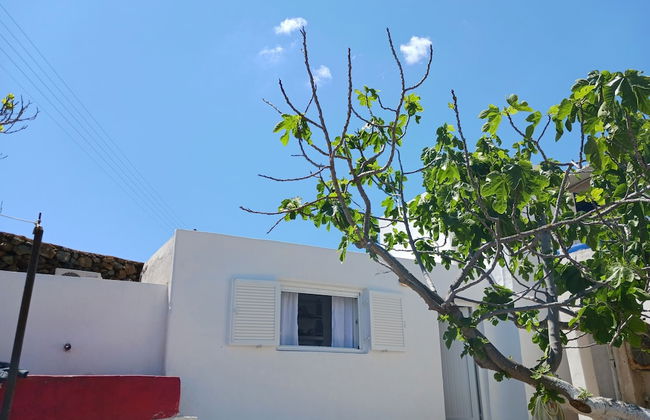 Cycladic Charming Studio in Mykonos - Foto 13