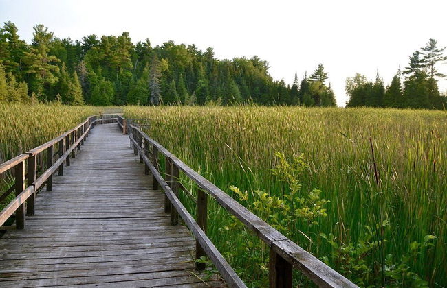 Myriad Fins Cottage and Marina - Foto 75