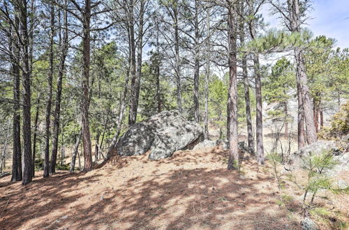 Photo 20 - Private Black Hills Home w/ Corral; Horses Welcome