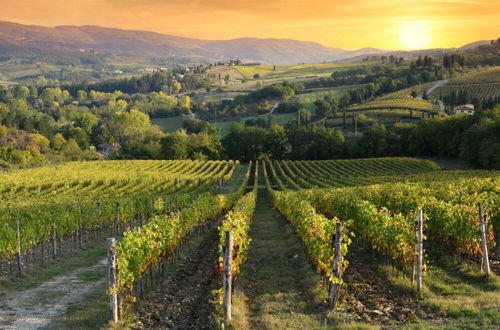 Photo 14 - Casa Elena-panoramic Chianti Hills