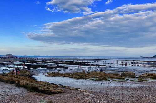 Photo 21 - Solent Landing No 16 Beach Retreat