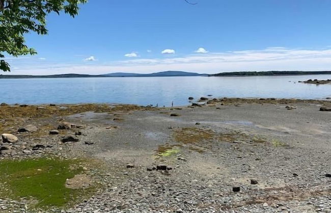 Mabel's Point - Brooklin - Foto 22