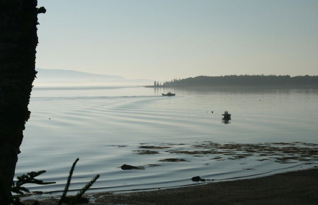 Mabel's Point - Brooklin - Foto 16