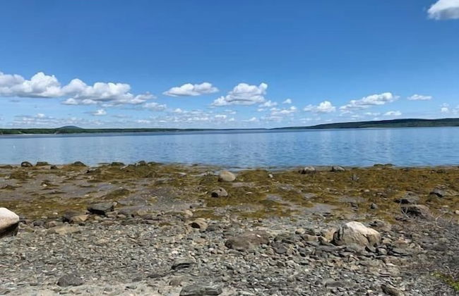 Mabel's Point - Brooklin - Foto 33