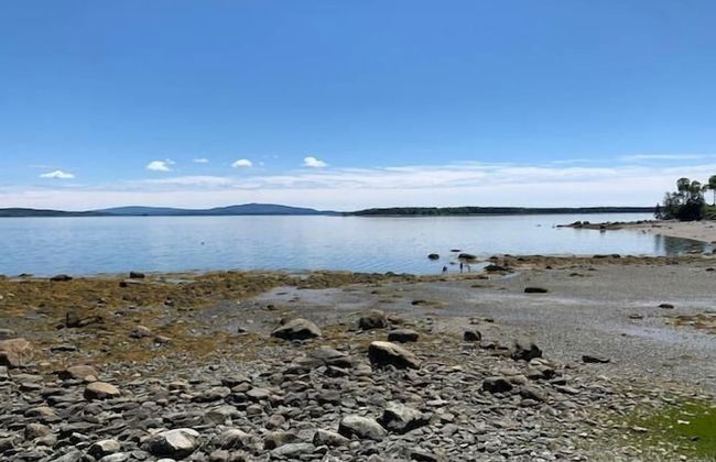 Mabel's Point - Brooklin - Foto 32