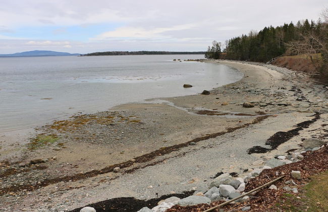 Mabel's Point - Brooklin - Foto 30