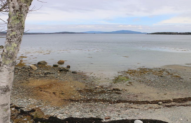 Mabel's Point - Brooklin - Foto 29