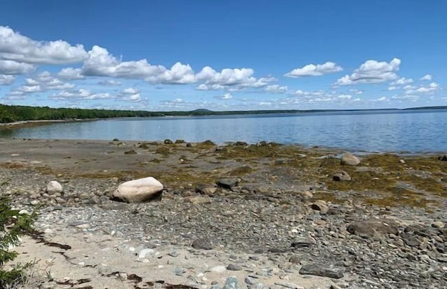 Mabel's Point - Brooklin - Foto 27
