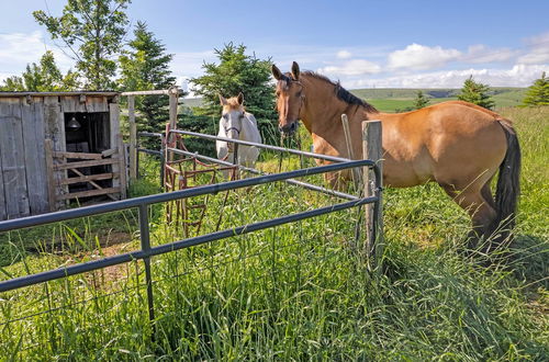 Photo 37 - Upscale Agritourism Bozeman Home on the Prairie