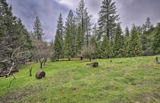 Photo 2 - Charming & Pet-friendly Pine Grove Retreat