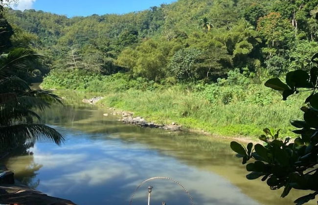 Tapioca Village Retreat - Photo 3
