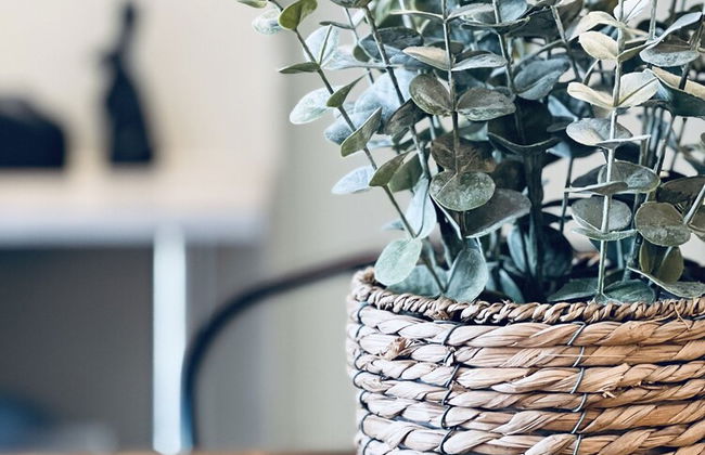 The Tyrwhitt Unit 1112 - Foto 30