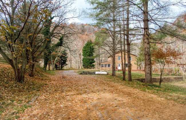4BR Lodge on Wolf Creek – Fishing, Hiking, New River Fun & Hokie Weekends - Photo 53