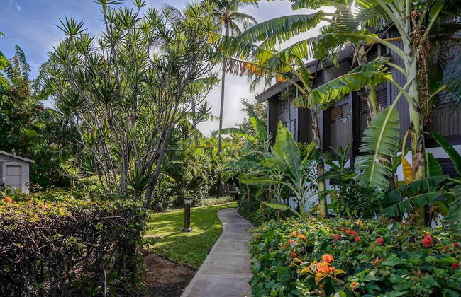 Tropical & Serene Garden Vistas - Foto 39