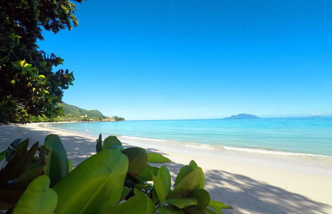 Las Brísas Villa - Chateau Elysium - Foto 23