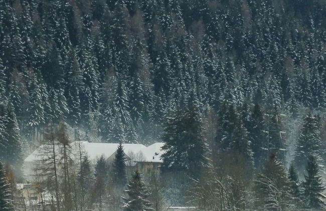 Il Campanile in Tem - Foto 6