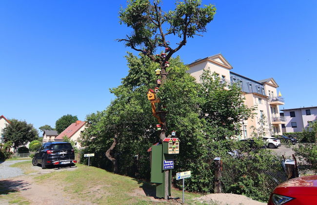 Apartment sea Noise, Ahlbeck - Foto 66
