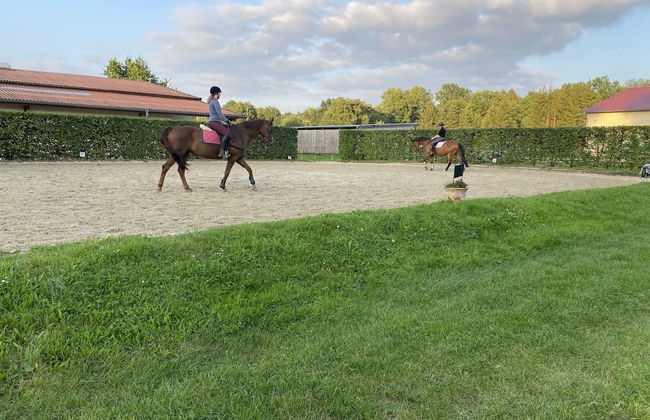 Gemutliche Unterkunfte auf dem Reiterhof in Eschede - Photo 70