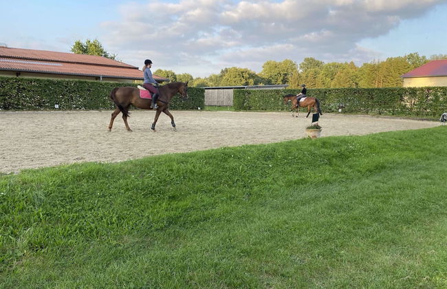 Gemutliche Unterkunfte auf dem Reiterhof in Eschede - Foto 67