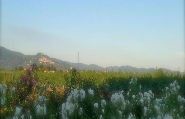 Villa in Tuscany With Pool Near Cortona - Foto 28
