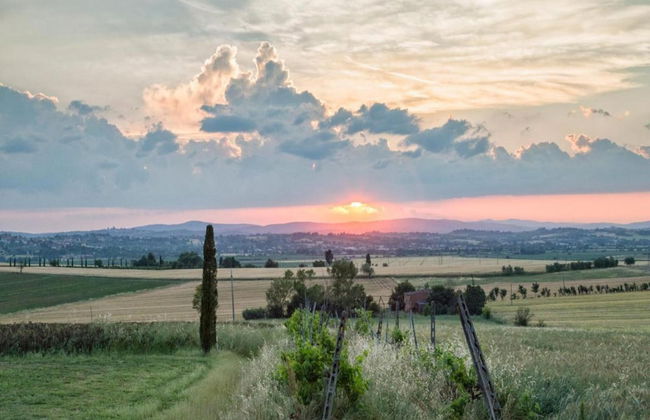Villa in Tuscany With Pool Near Cortona - Foto 29