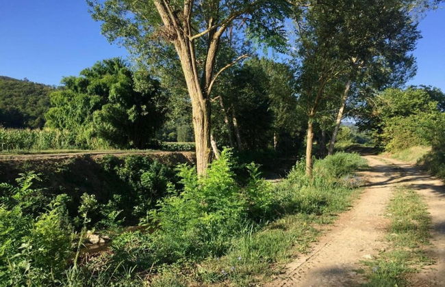Holiday Home in Citerna Near Castello Bufalini - Foto 32