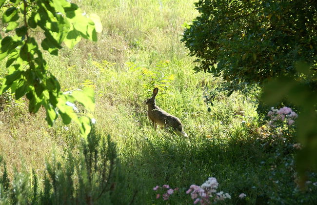 Serene Farmhouse in Dicomano With Swimming Pool - Foto 70