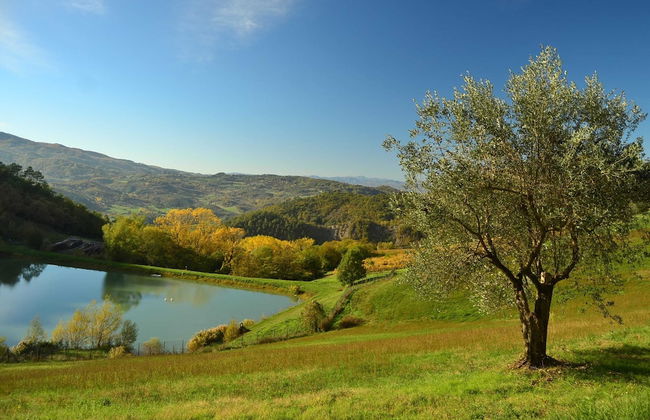 Serene Farmhouse in Dicomano With Swimming Pool - Foto 62