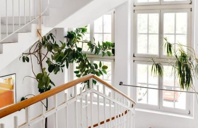 WHLIVING - Apartments & Studios - Foto 11