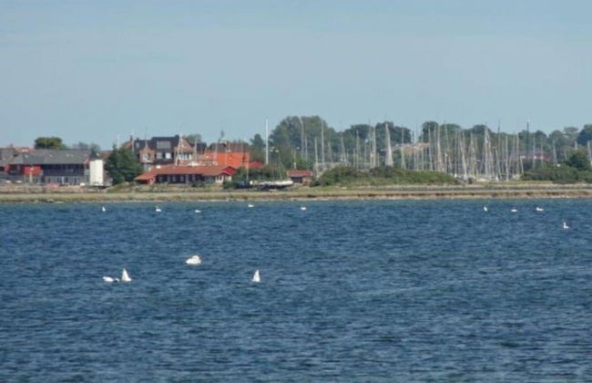 Resort Orther Reede, Fehmarn-orth - Foto 19