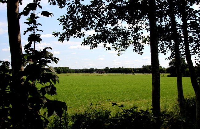 Ferienwohnung in Moorhusen - Foto 30