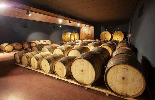 Podere Montale Winery - Foto 42