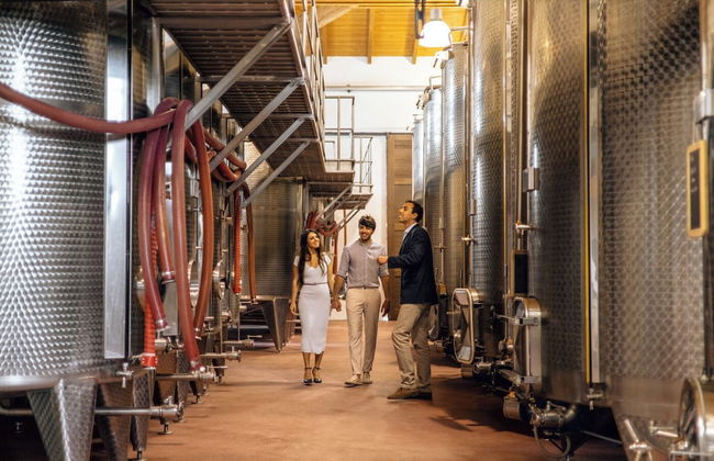 Podere Montale Winery - Foto 36