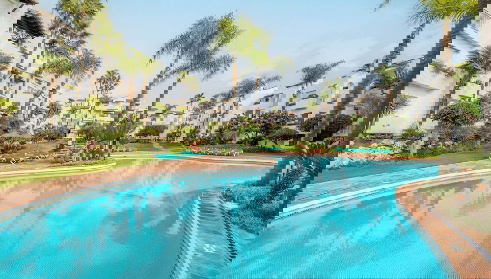 Image principale