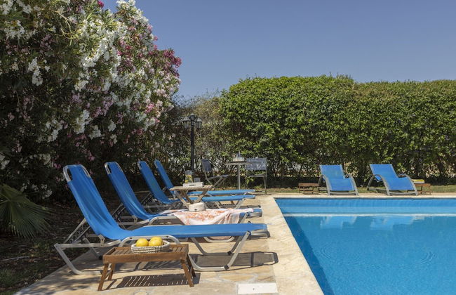 Villa Tsikkos Pende in Argaka - Photo 55