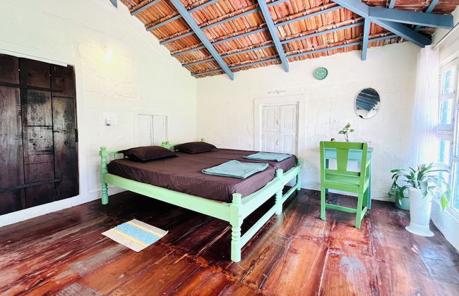 Studio Figtree - Foto 16