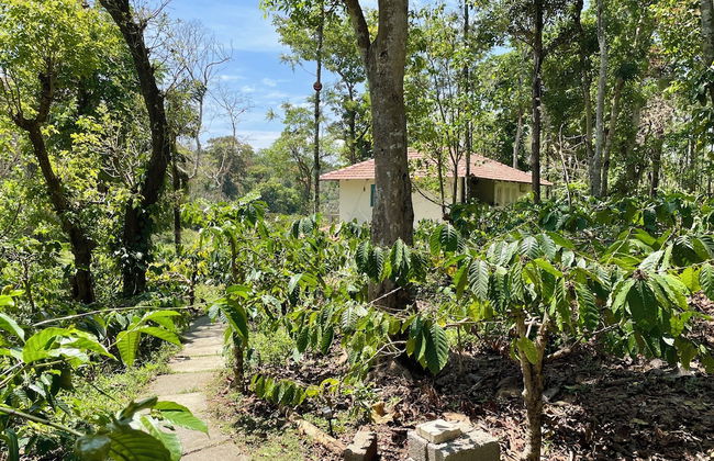 Studio Figtree - Foto 40