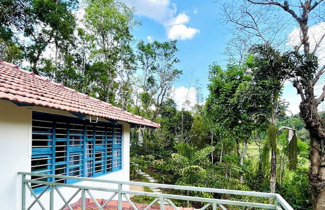Studio Figtree - Foto 25
