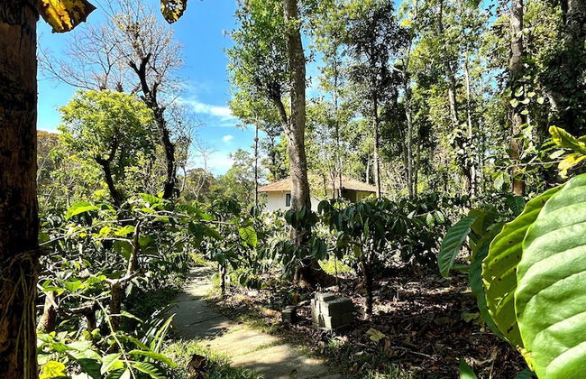 Studio Figtree - Foto 62