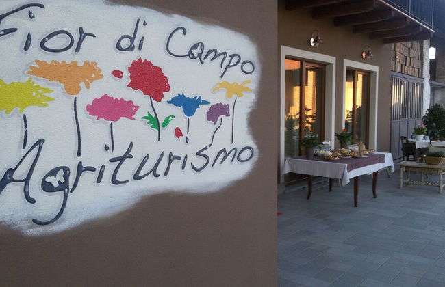 Fior di campo - Foto 18