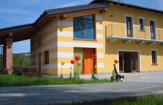 Fior di campo - Foto 15