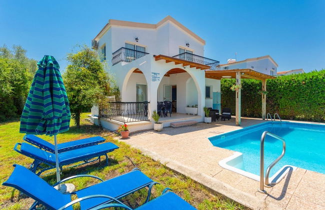 Villa Aristotelis in Argaka - Photo 4
