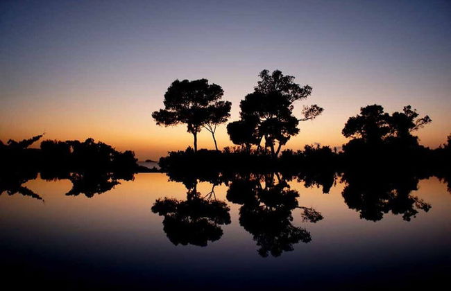 Gorgeous Villa With Views - Photo 37