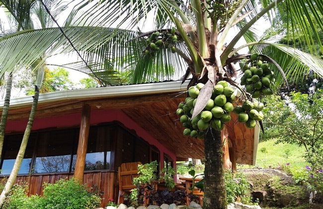 Pura Natura Lodge Arroyo - Foto 75