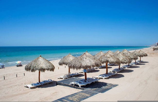 Luxury Las Palomas Oceanview Condo - Phase 2 - Photo 45