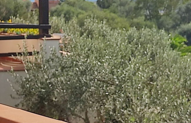 Casa Ortensia - Foto 12
