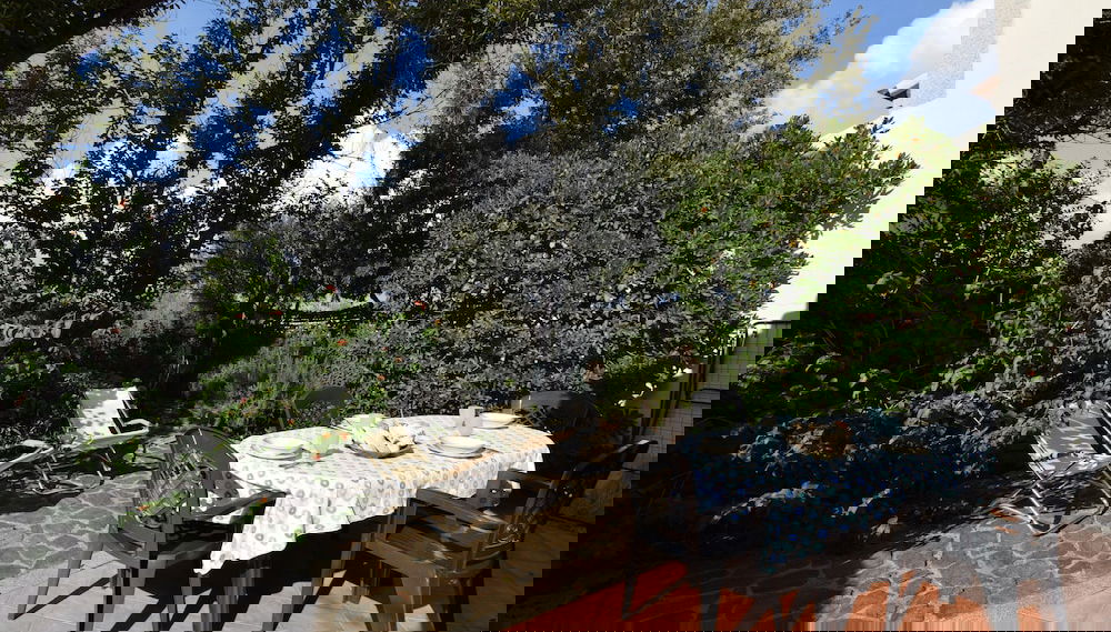 Imagem principal